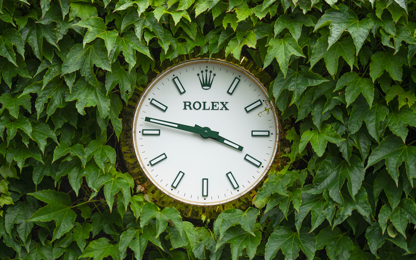 Reloj Rolex en Wimbledon