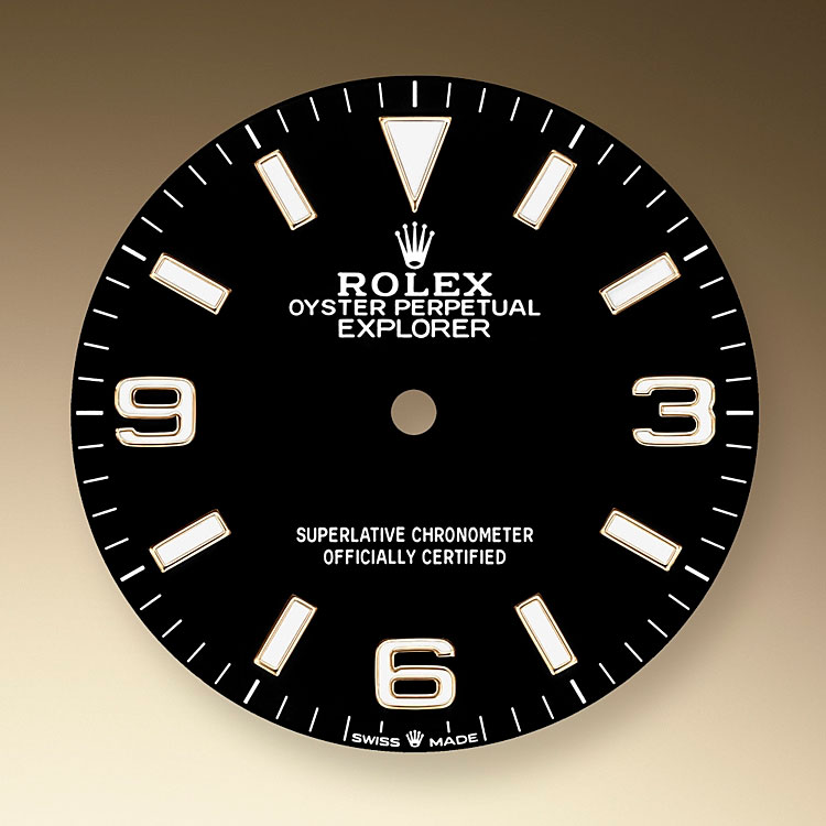 Esfera negra Reloj Rolex Explorer en Grassy