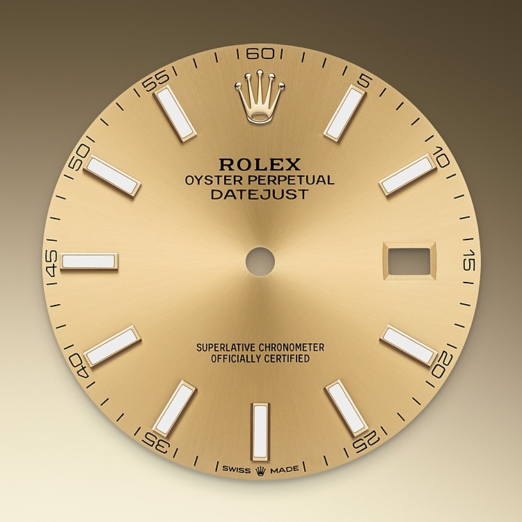 Acero Oystersteel y oro amarillo de Rolex Datejust 41 en Grassy