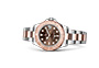Rolex Yacht-Master 37 Oystersteel and Everose gold and chocolate dial in Grassy