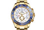 Rolex Yacht-Master II yellow gold and White Dial in Grassy