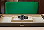 Presentation reloj Rolex Yacht-Master 42 white gold and Black Dial  in Grassy