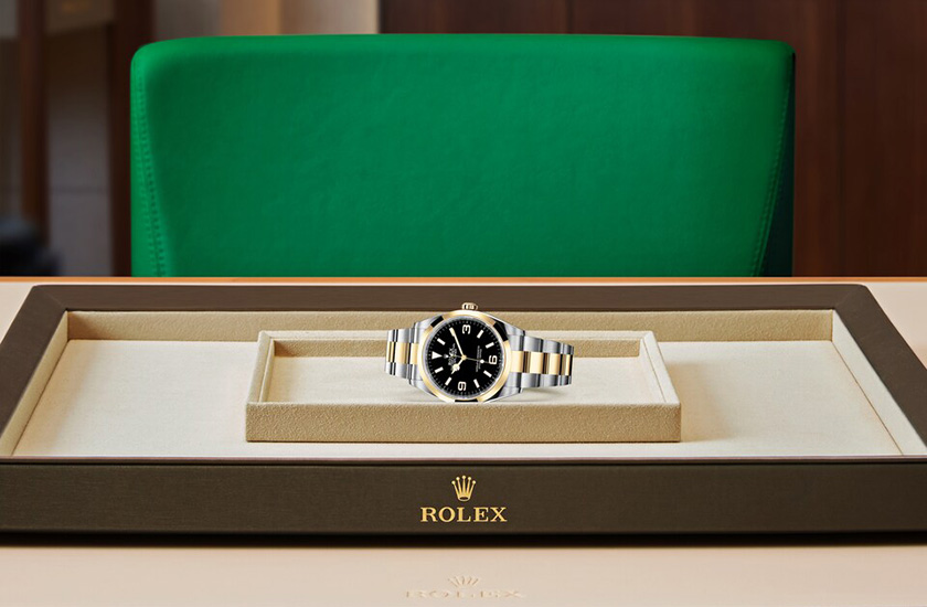 Presentación watchdesk reloj Rolex Explorer de acero Oystersteel, oro amarillo y esfera negra en Grassy