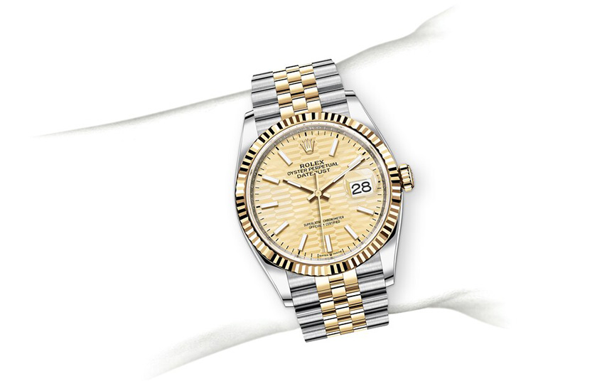Simulation wrist Rolex Datejust 36 Oystersteel and yellow gold in Grassy